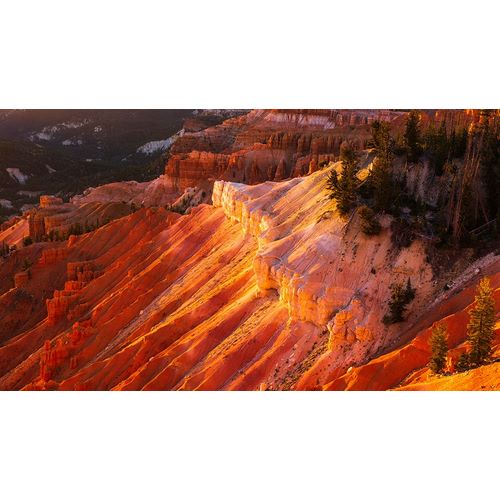 Bishop, Russ 아티스트의 Evening light on Cedar Breaks-Cedar Breaks National Monument-Utah-USA작품입니다.